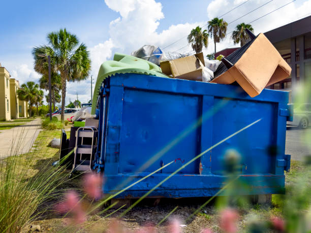 Best Residential Junk Removal in Pine, AZ